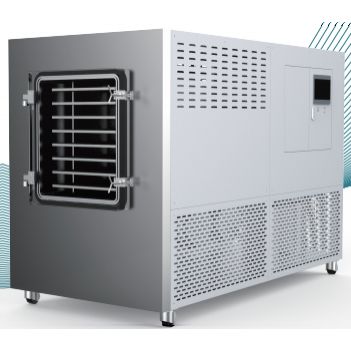 Gefriertrockner mit Silikonölheizung GMP (Werkstattmodell) LGJ-300FG/Y Standardtyp